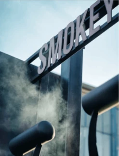 Smokey Goodness - Het Ultieme BBQ Boek -Big Green Egg Verkoop schermafbeelding 2021 03 24 om 12.42.46