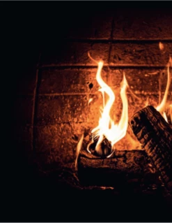 Smokey Goodness - Burgers & BBQ Bites -Big Green Egg Verkoop schermafbeelding 2021 03 24 om 13.25.05